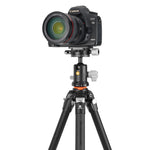 VEO 5 234AB-110S Aluminum Tripod w/ Dual-Axis Head for Cameras & Smartphones